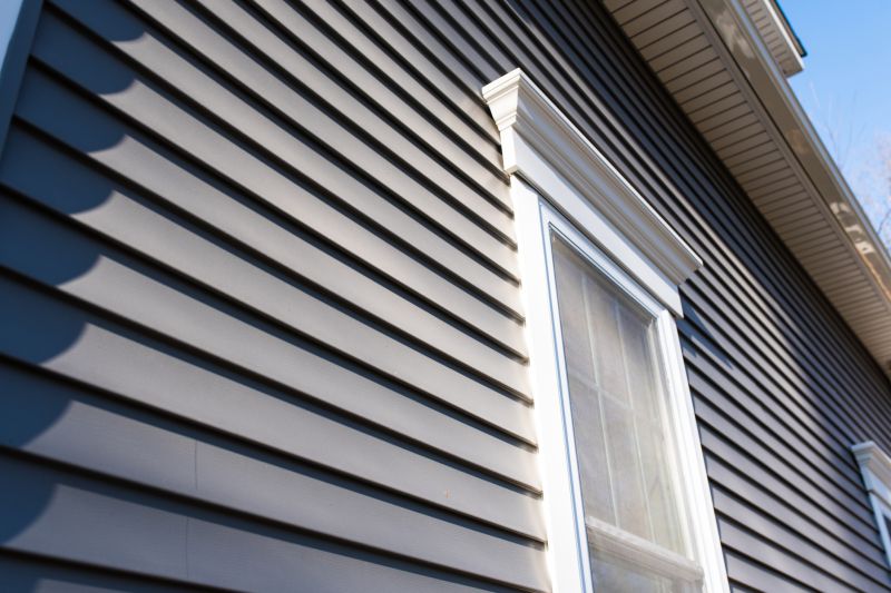 Vinyl Siding Close-Up